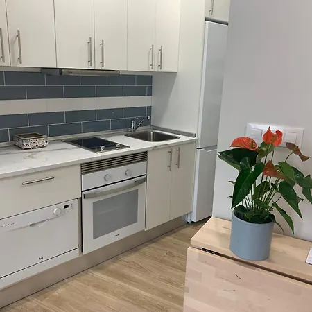 Apartamento ó Pé De San Bieito *