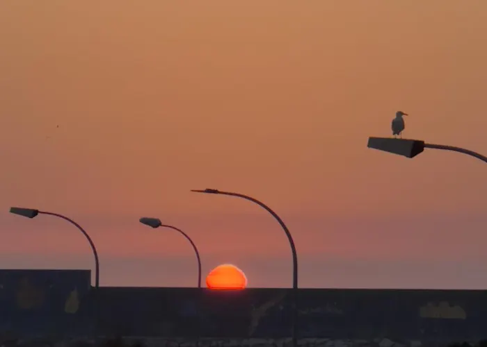 O Pe De San Bieito * A Guarda